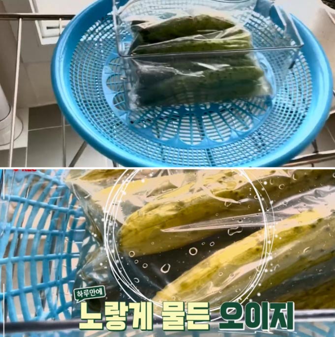 이찬원 오이지 만드는 법 이미지