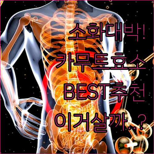 소화 잘되는 카무트 효소 추천 제품 ..