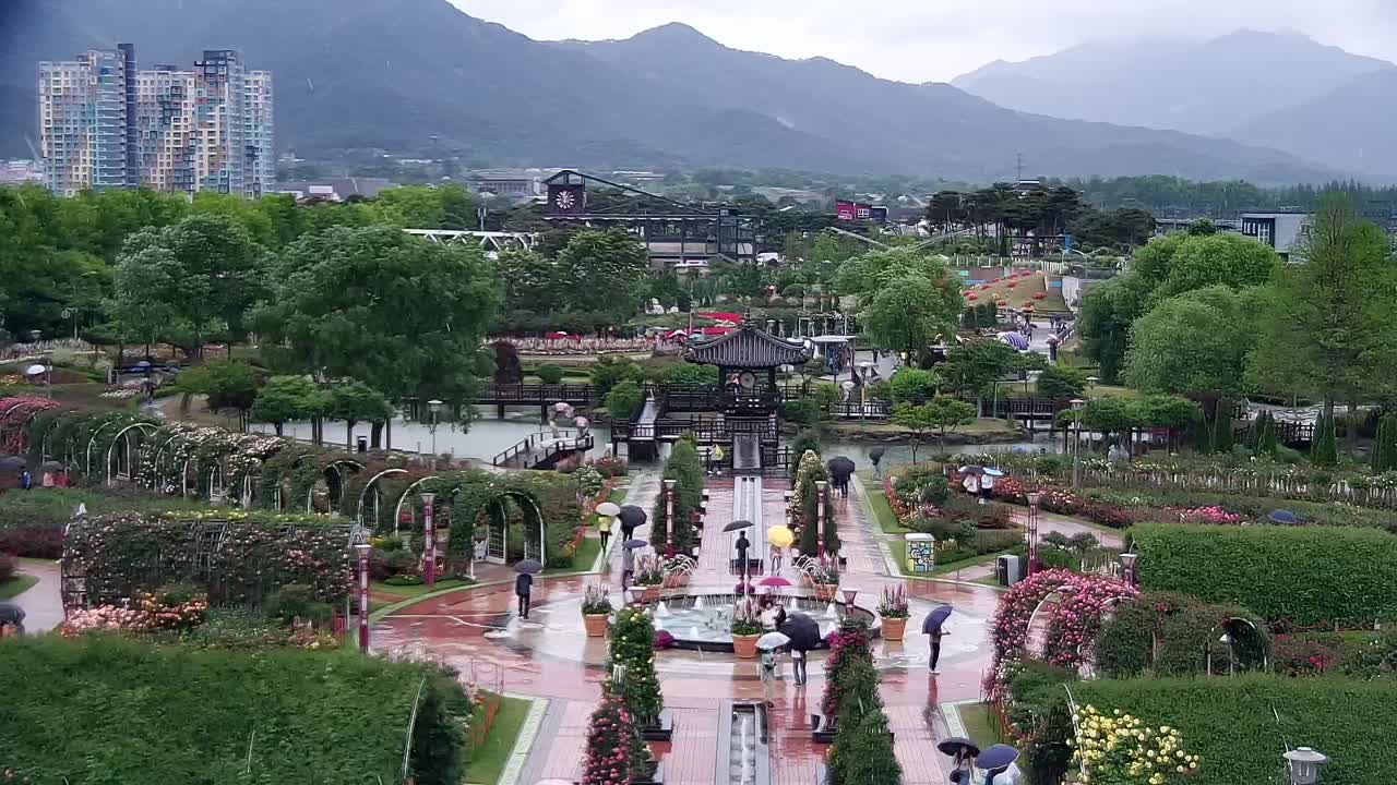 곡성 세계 장미 축제 2025 &ndash; 세계의 장미를 만날 수 있는 여행지