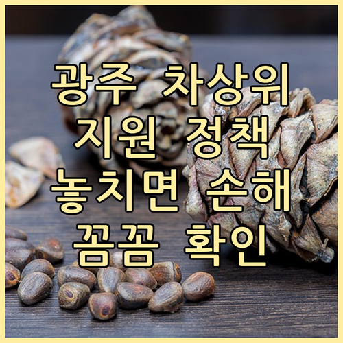광주 차상위계층 지원 정책: 놓치면 ..