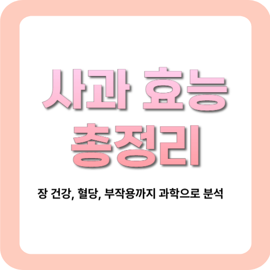 사과-효능-요약-건강정보