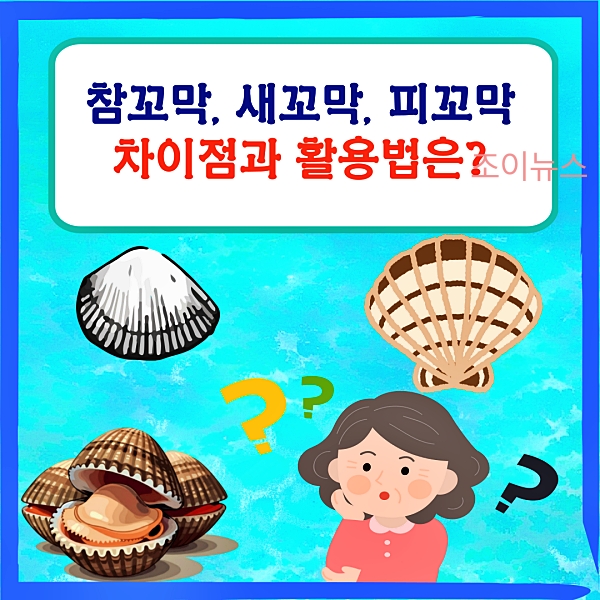 참꼬막, 새꼬막, 피꼬막의 차이점과 활용법은?