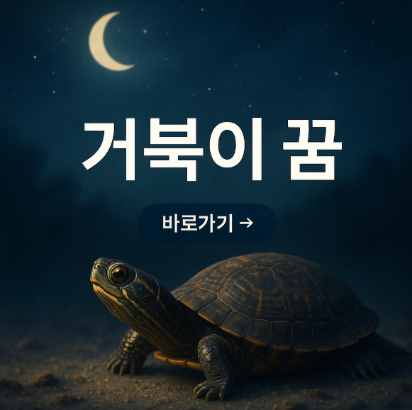 거북이 꿈