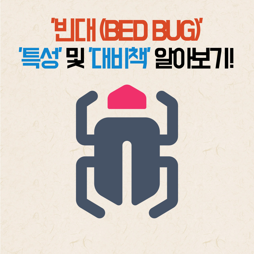 빈대