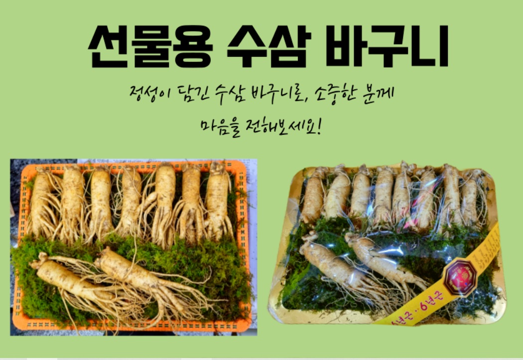 6시내고향-영주-풍기인삼-