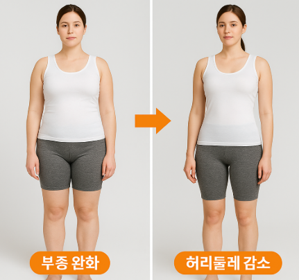 순환핏 다이어트