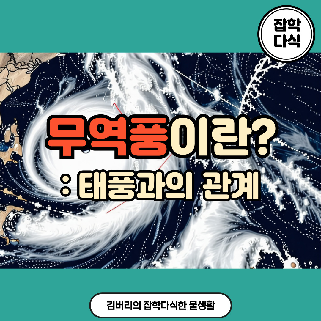 태풍의 시작점 무역풍