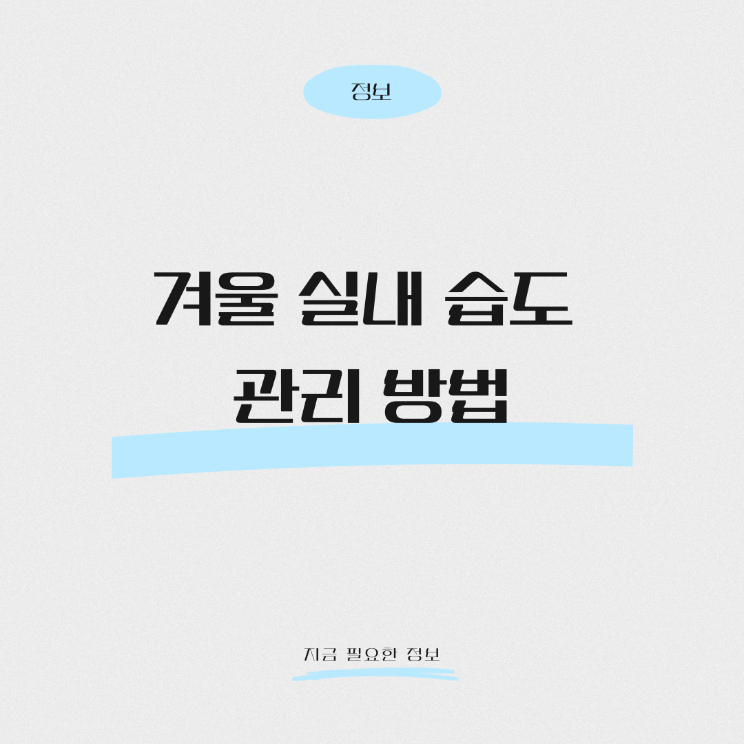 겨울 실내 습도 관리, 안 하면 생기는 문제