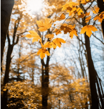 2023λ
λ¨νμκΈ° μμΈ‘μ§λ