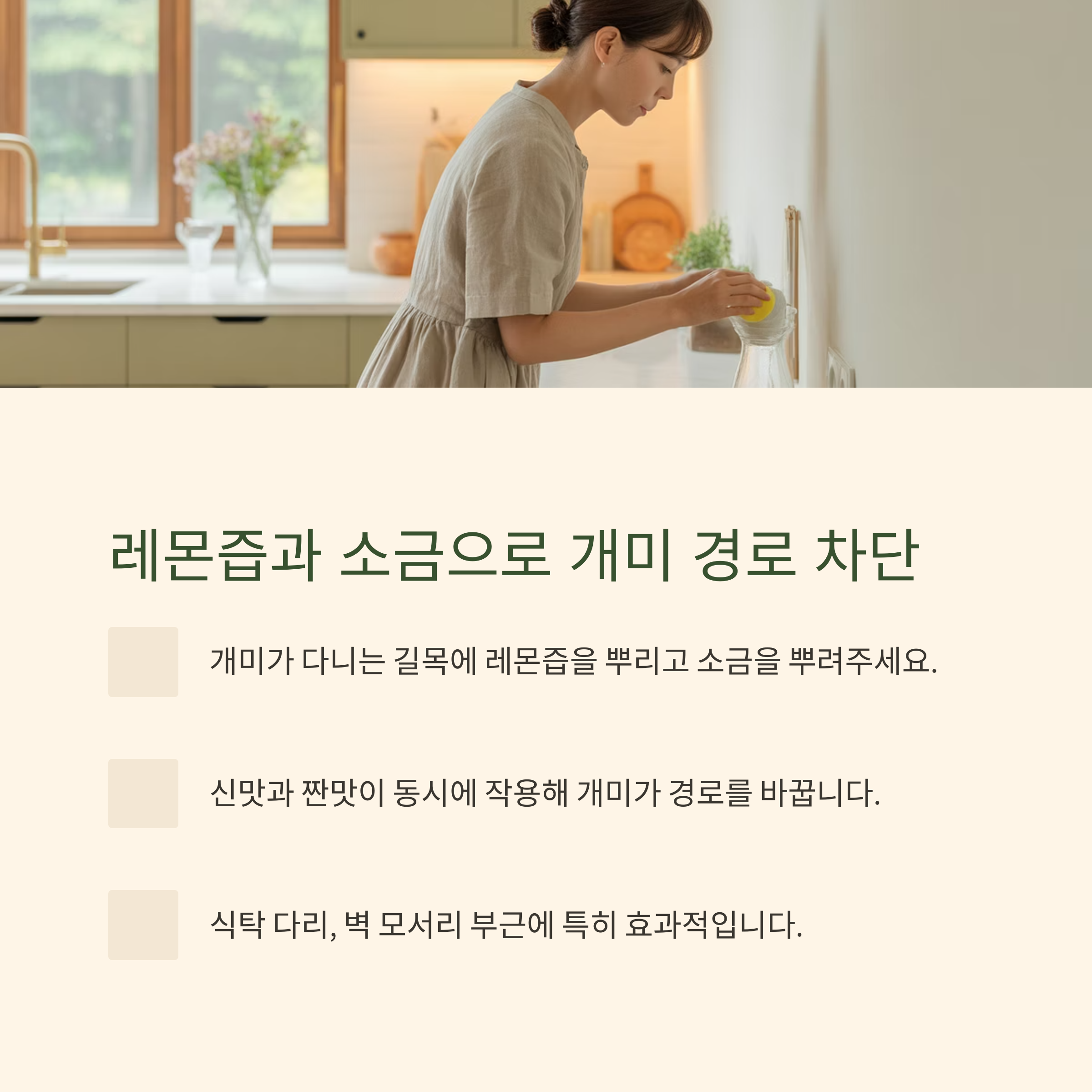 10. 박하(페퍼민트) 오일의 만능 해충 퇴치력