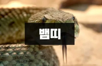 2025 뱀띠 나이 53년 65년 77년 89년 01년생 정리_14