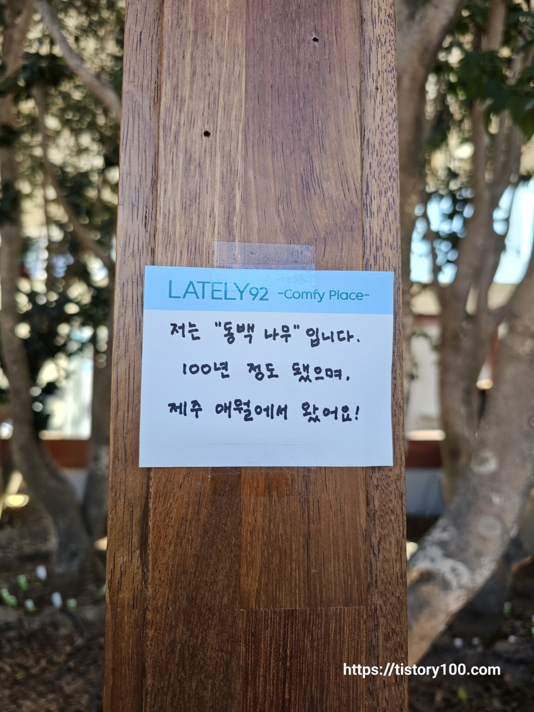 레이틀리92