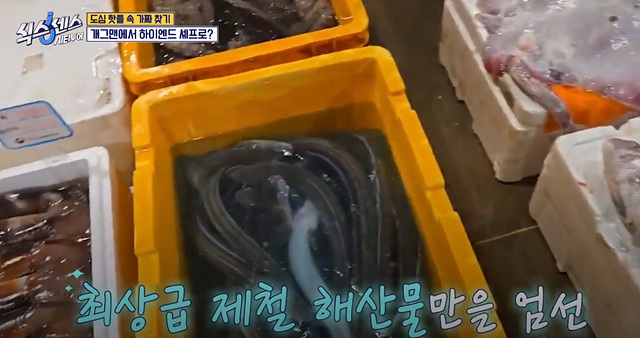 식스센스 시티투어 강남 이동자 오마카세 철권게이머 무당