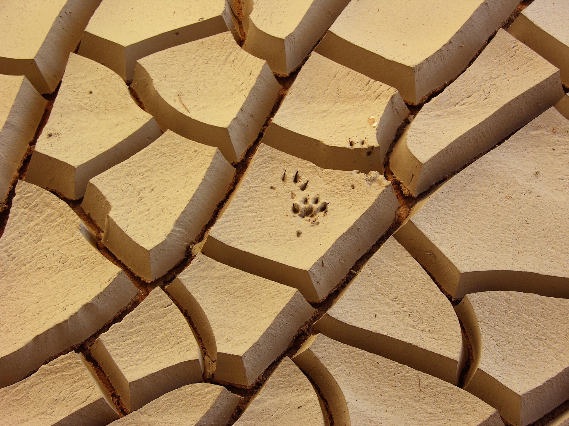 간 수치(AST&amp;#44; ALT&amp;#44; 감마지티피)가 높게 나오는 이유