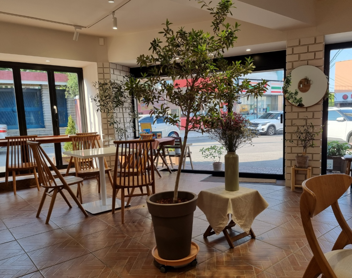 매장 내부 중앙에 나무가 한그루 있어서 시원해 보입니다.