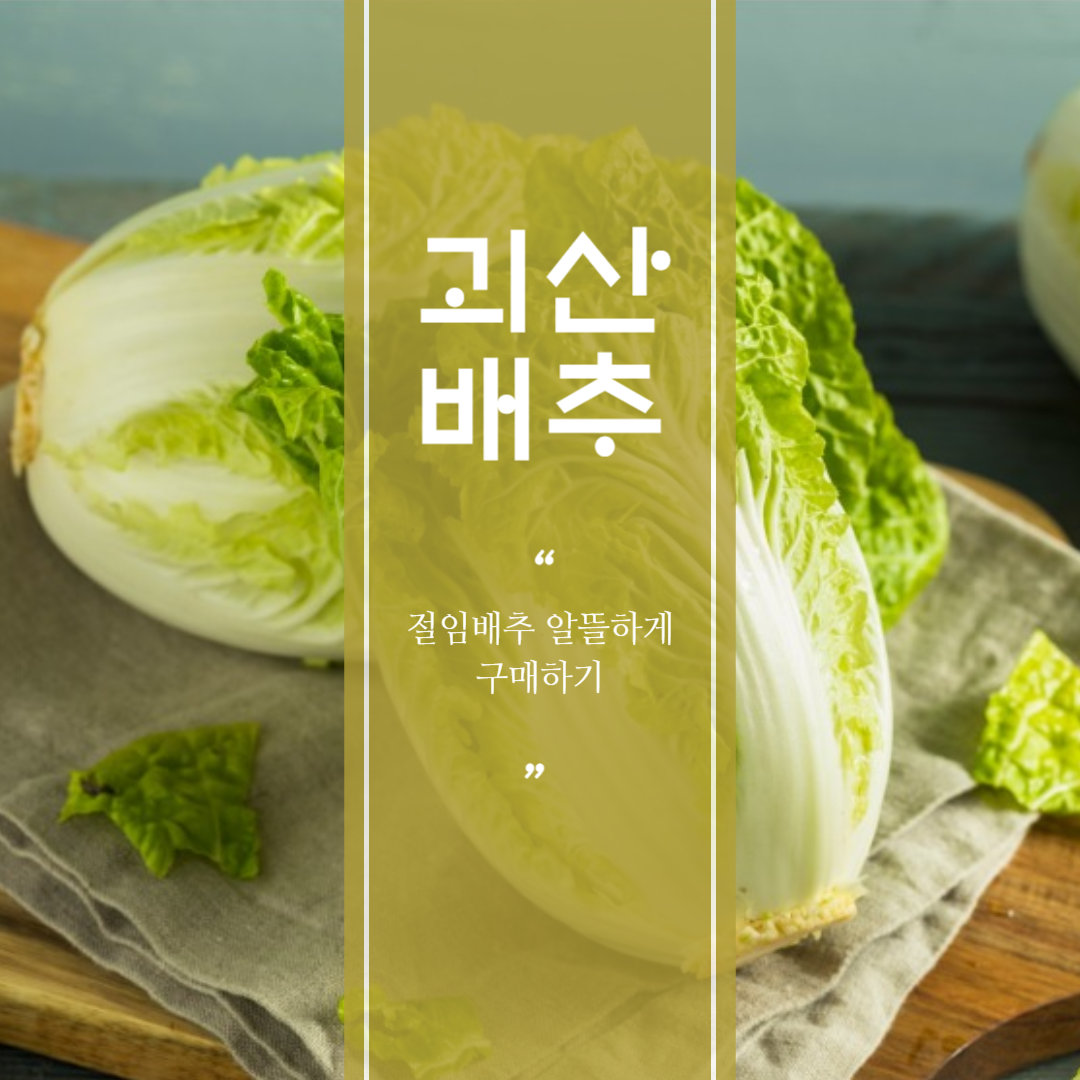 절임배추저렴하게구매하기