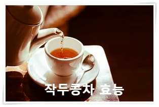 작두콩차 9