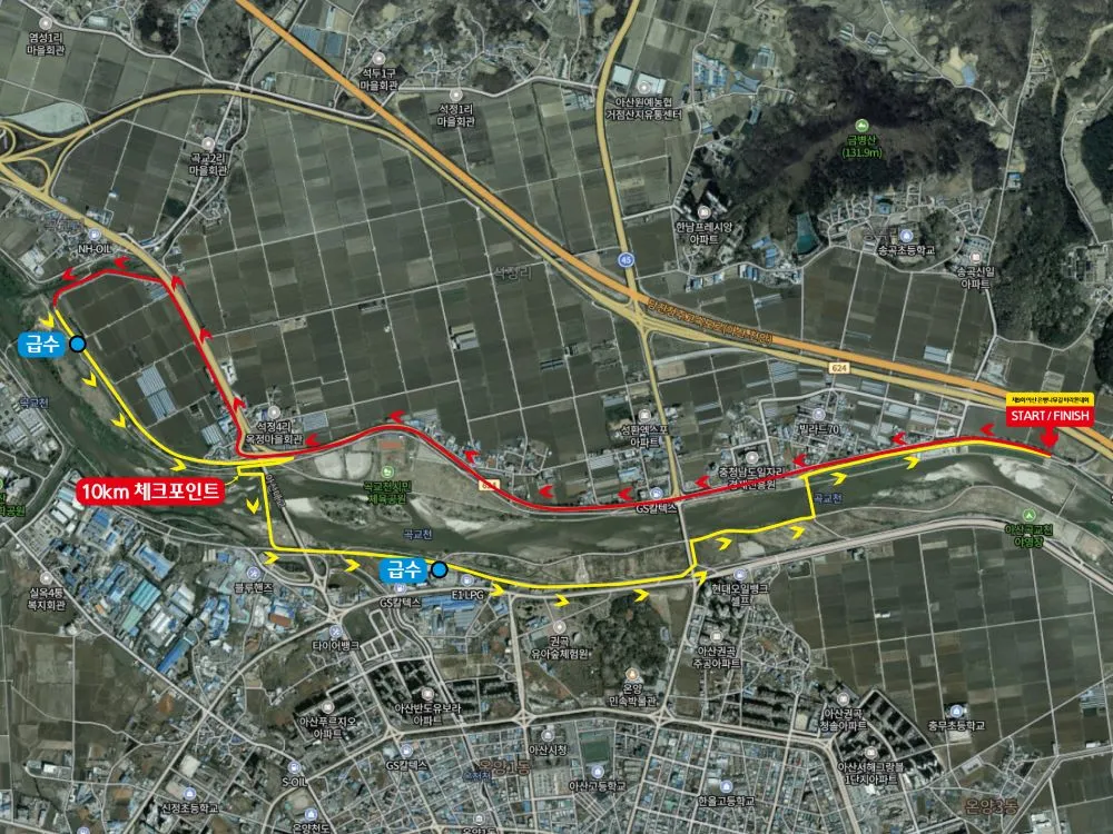 제11회-아산-은행나무길-전국마라톤-10km코스