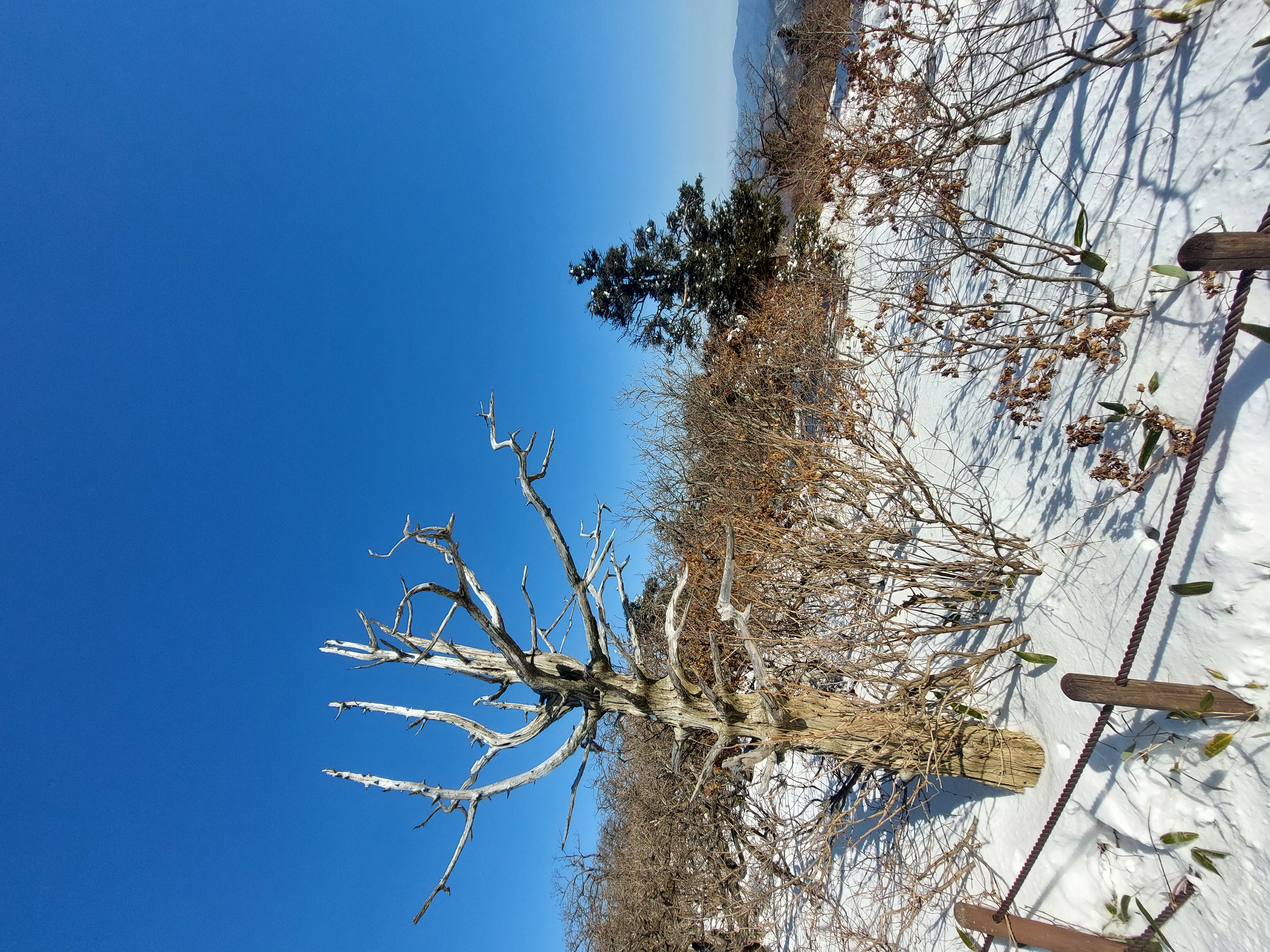덕유산