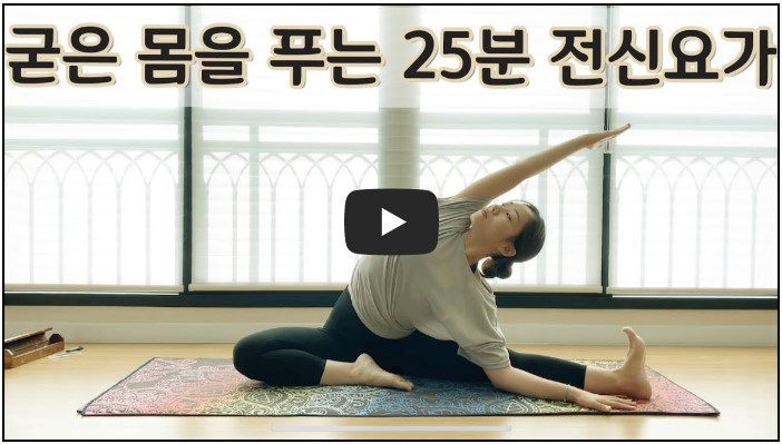 요가 유튜버 순위 TOP 10 5