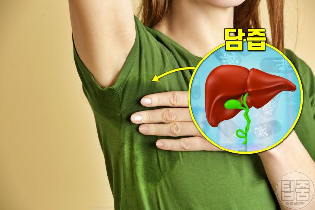땀 건강 땀 색깔 증상,녹색땀 갈색땀 간기능저하,팁줌