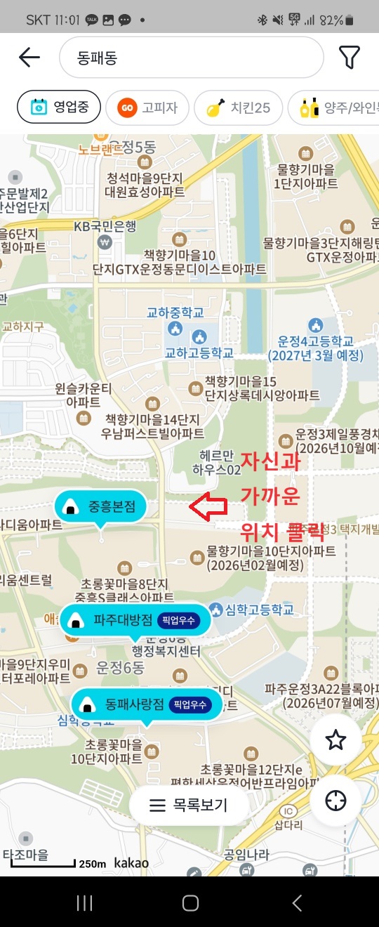 코로나 자가키트