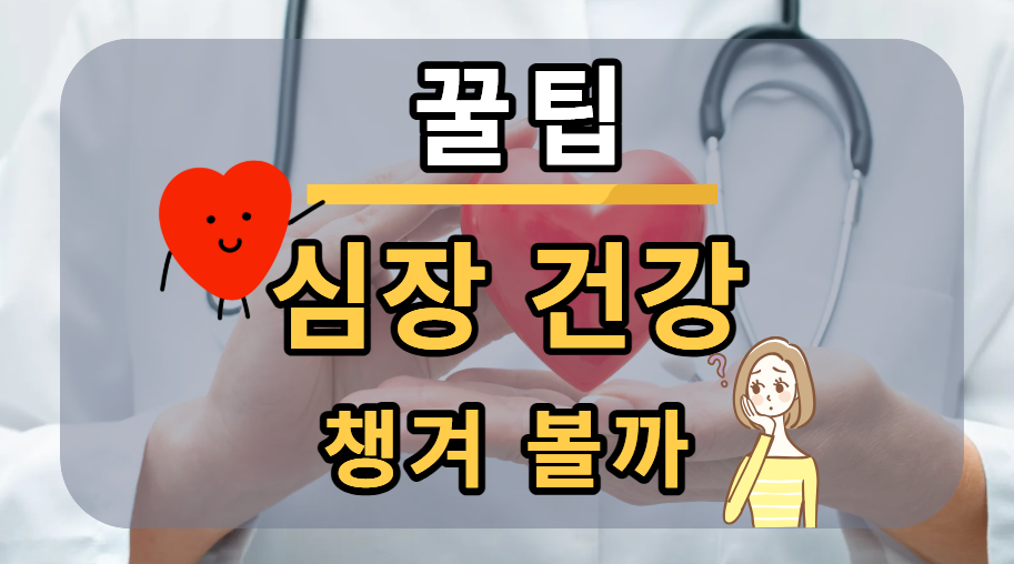 심장건강 이해 이미지