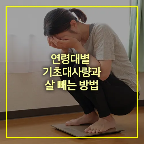 연령대별 기초대사량