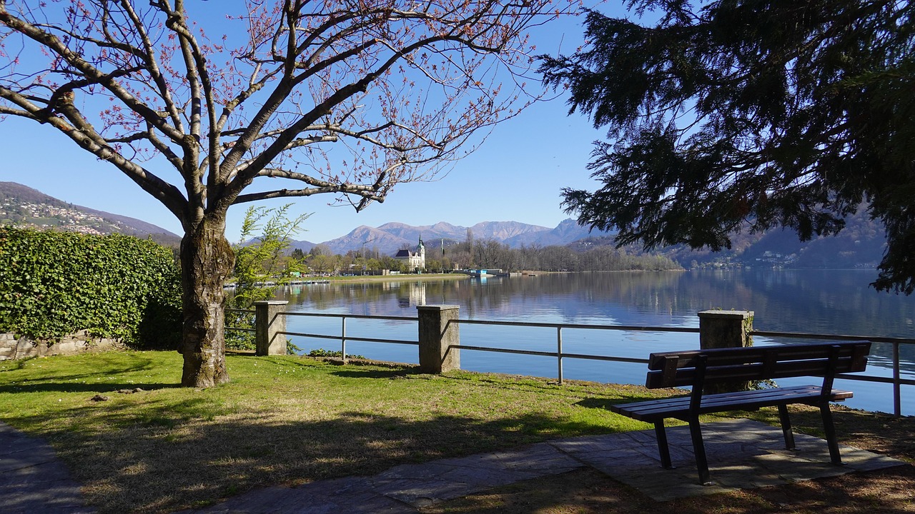 무음은 뇌파를 재편하고, 사람의 심리를 재구성한다