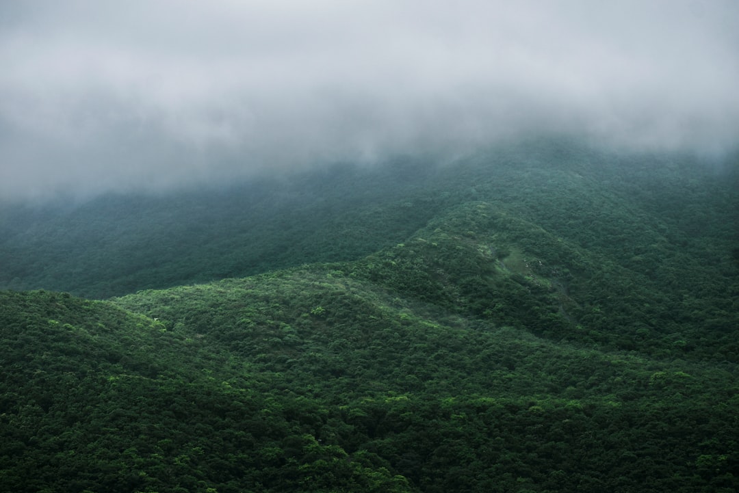 Monsoon
