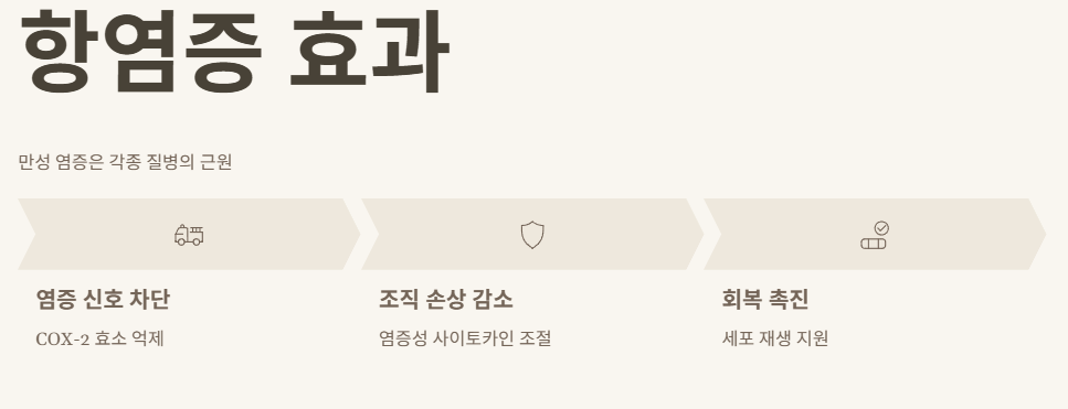 프로폴리스 효능