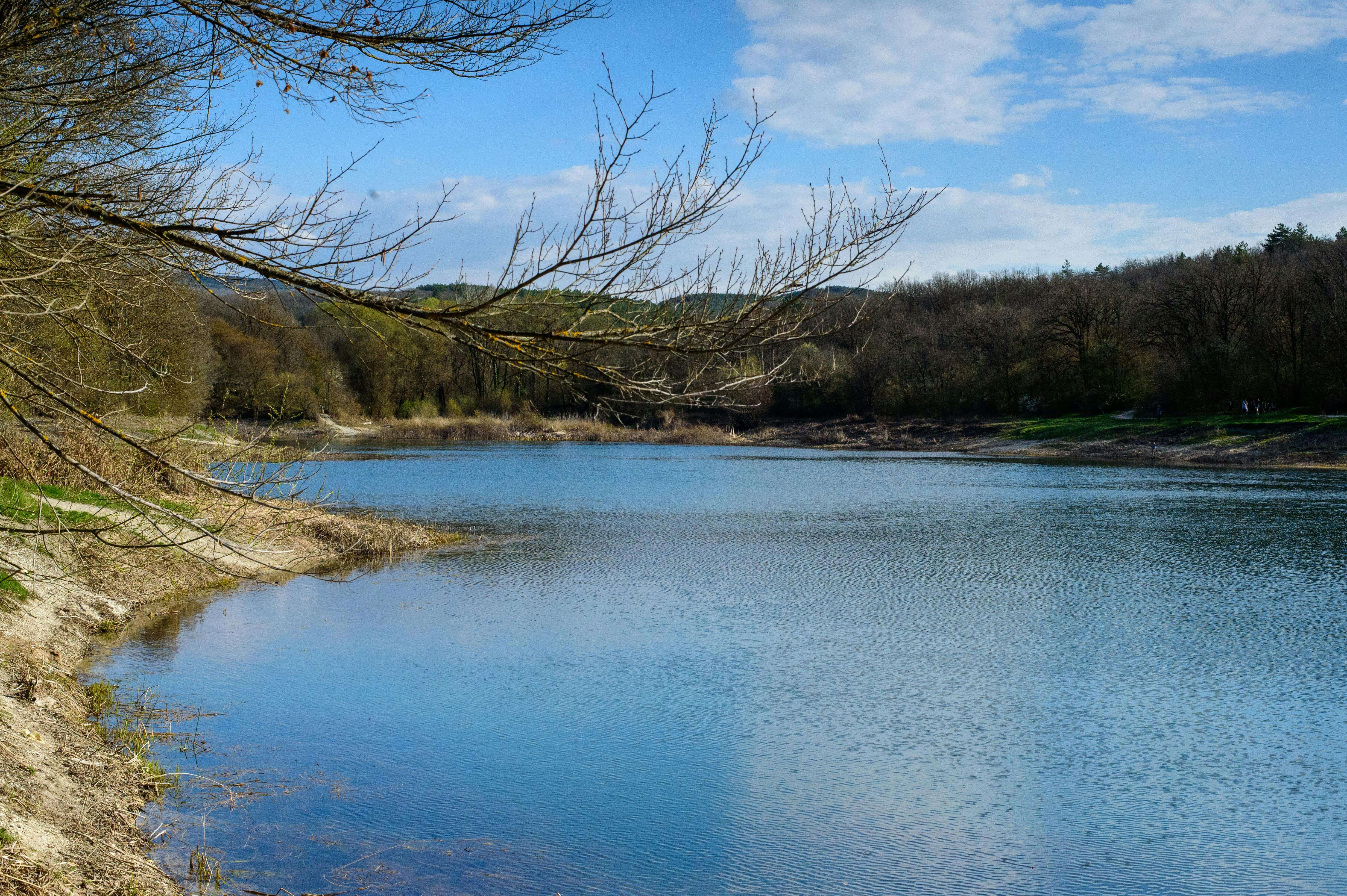 65세 이살 실업급여 구직활동 면제신청 - 면제대상&amp;#44; 면제신청준비&amp;#44; 신청방법&amp;#44; 주의사항