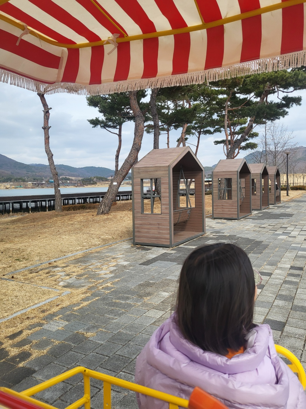 세종 아이와 가볼만한곳 추천: 가족 4인용 자전거부터 송담만리 카페 산책길