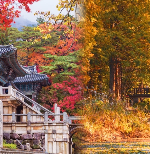 경주 단풍 절정시기