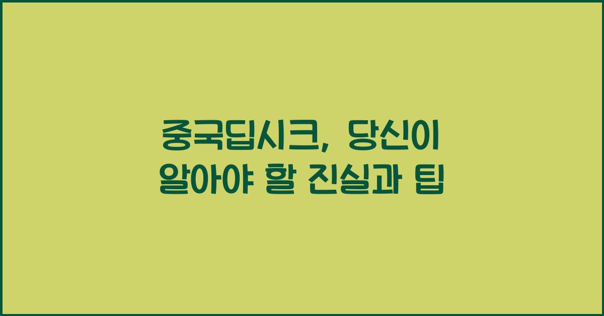 중국딥시크