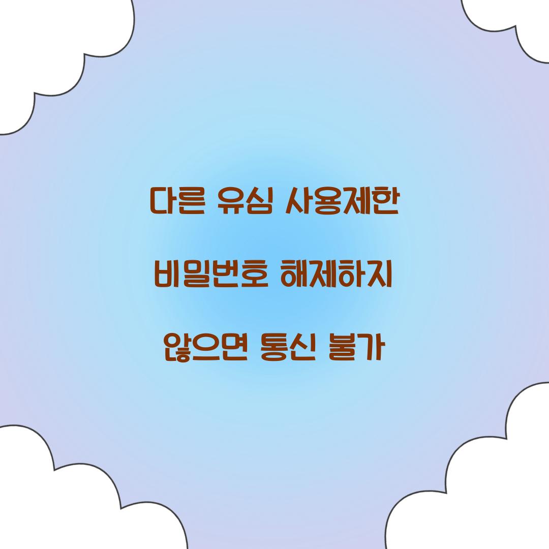 다른 유심 사용제한 비밀번호