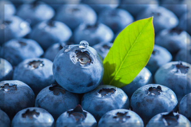 신장에_좋은_음식