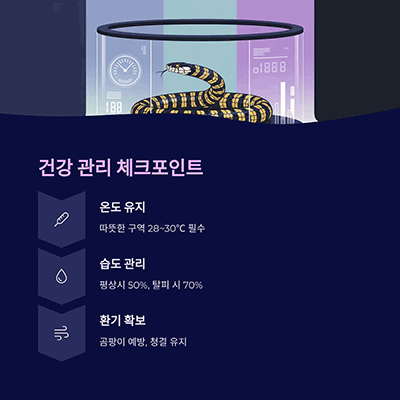 건강한 사육을 위한 주의사항