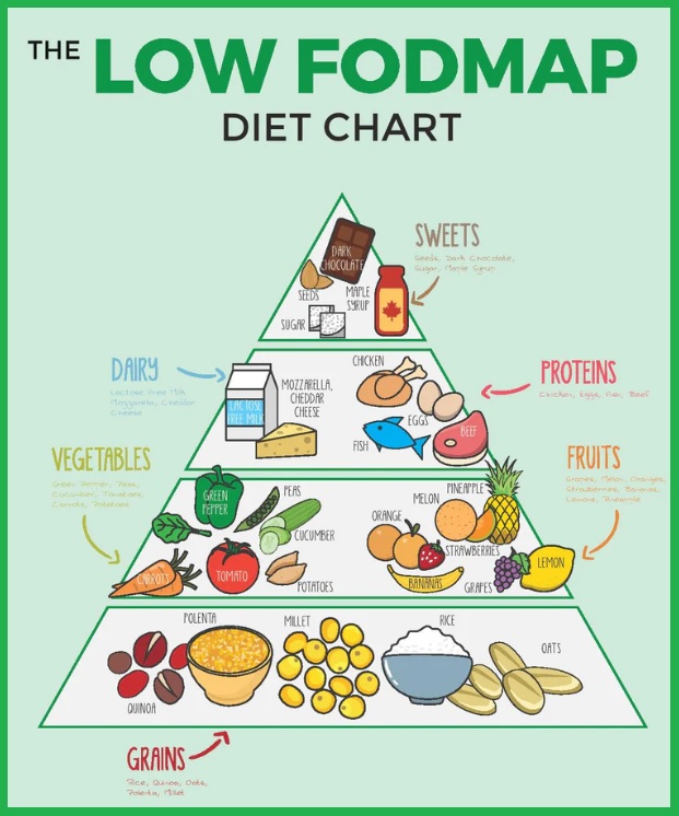 로우푸드다이어트