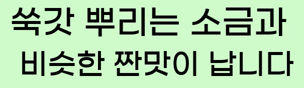  쑥갓 뿌리는 소금과 비슷한 짠맛이 납니다