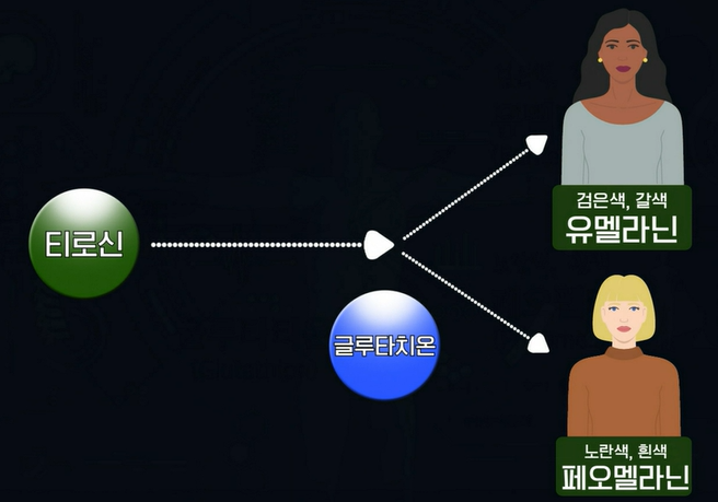 글루타치온 효능