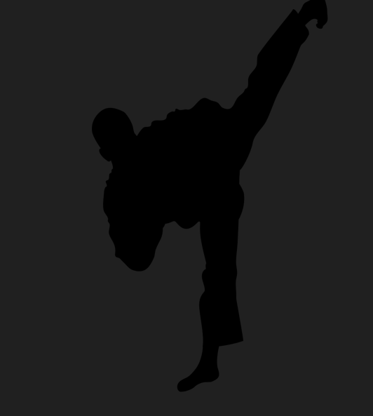 유도 싸움 실 루엣