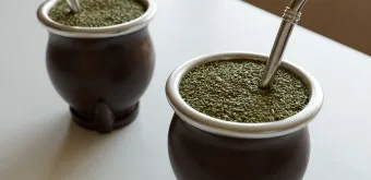 마테차 효능 11가지 및 부작용에 대해서 알아보기_10