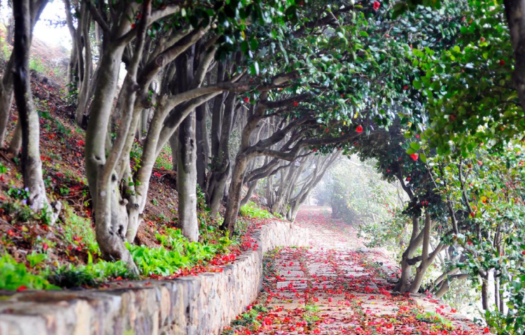 장사도 해상공원