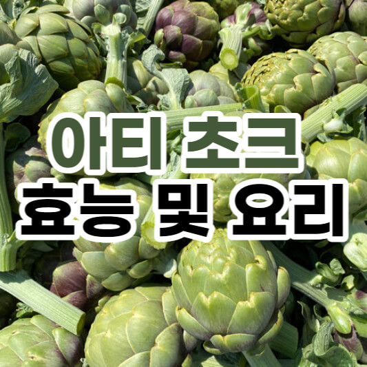 아티 초크 효능