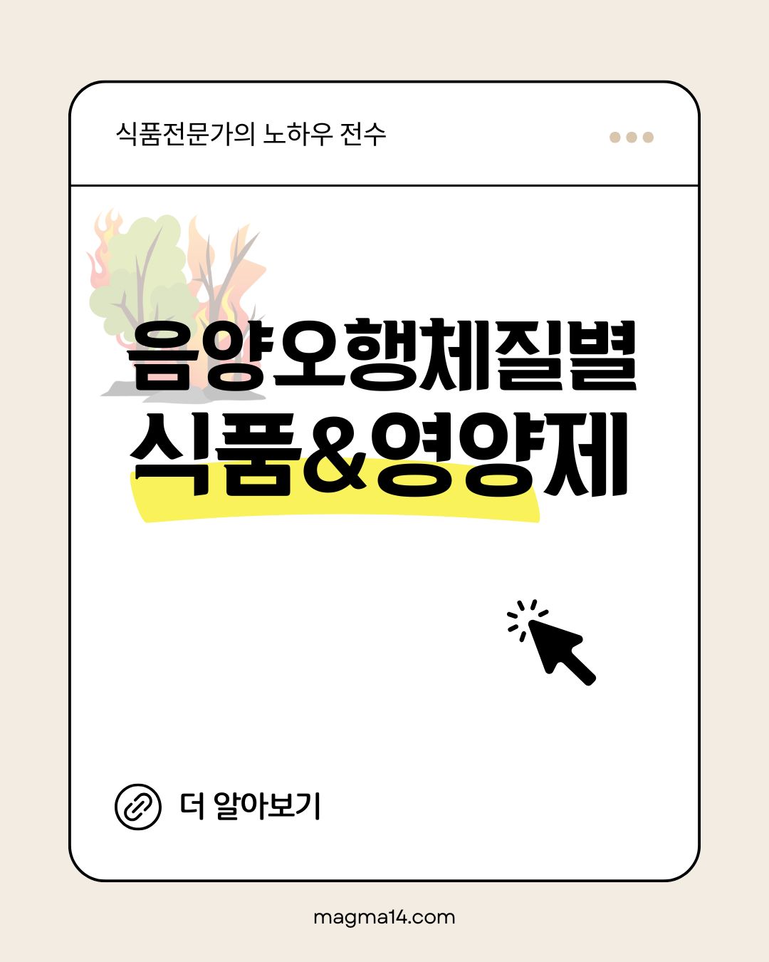 음양오행 체질별 음식 & 영양제 추천 가이드