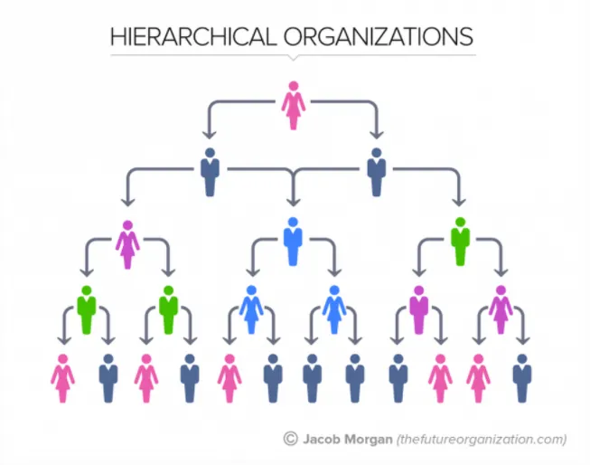 회사 직급체계 순서별 직책 직위 조직 구조 정리_4