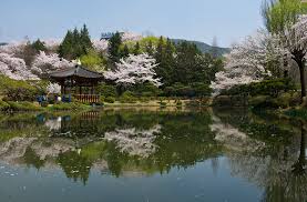 여름 경주 가볼만한곳 베스트 10 후기