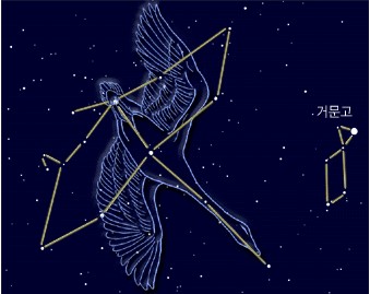 여름밤의 천공백조