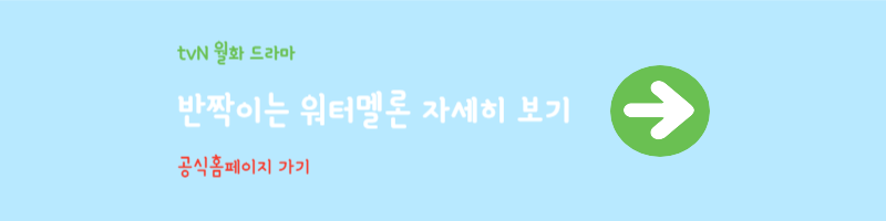 반짝이는 워터멜론